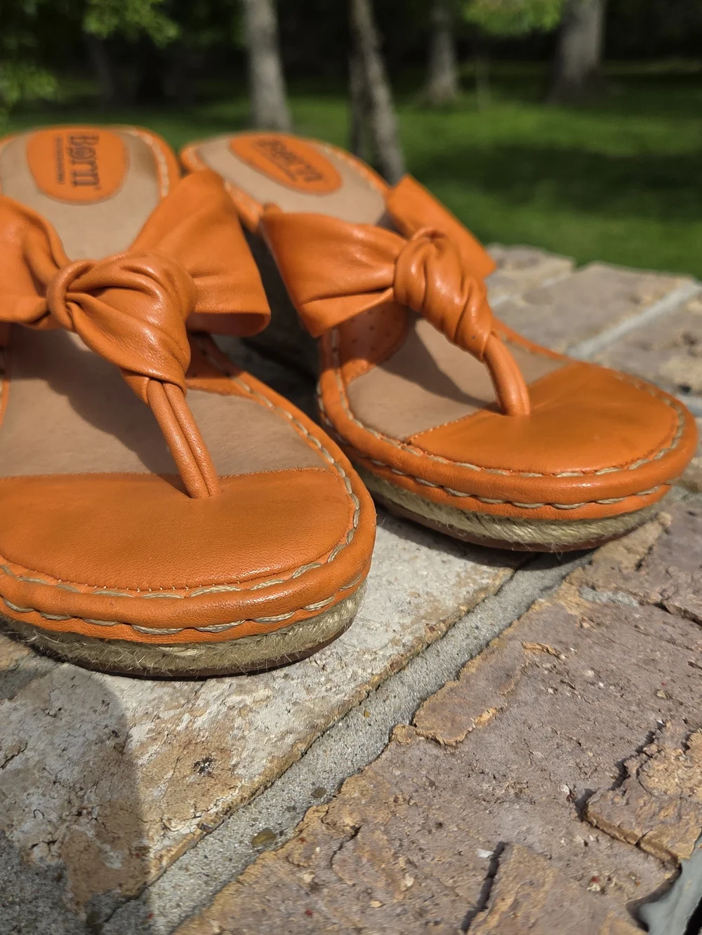 Born cetina orange